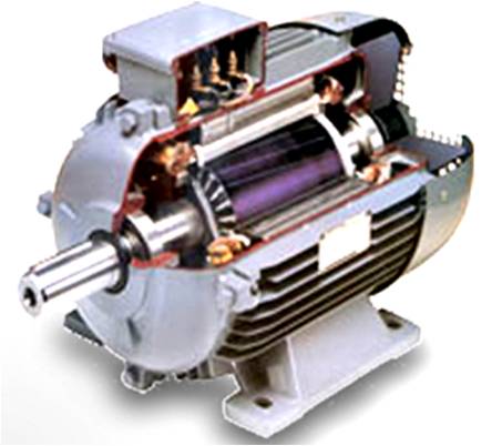 Motor Ayağı, B5 Flanş, B14 Flanş, Rulman Kapağı, Pervane